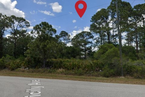 Land in Port Charlotte, Florida № 2224111 - photo 5