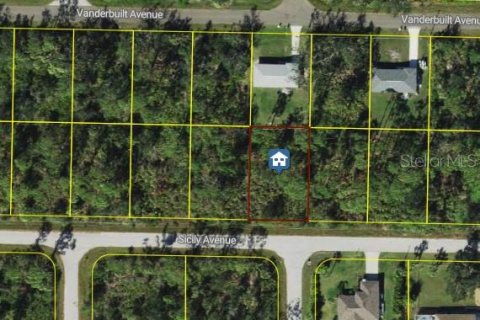 Land in Port Charlotte, Florida № 2224111 - photo 2