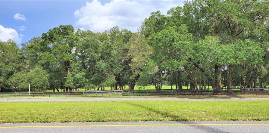 Terrain à Ocala, Floride № 213447