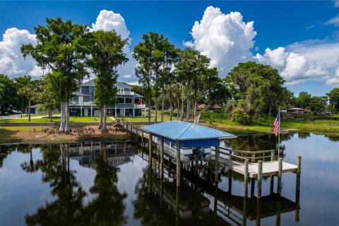 House in Inverness, Florida 4 bedrooms, 418.52 sq.m. № 2198266 - photo 11