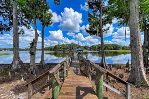 House in Inverness, Florida 4 bedrooms, 418.52 sq.m. № 2198266 - photo 9