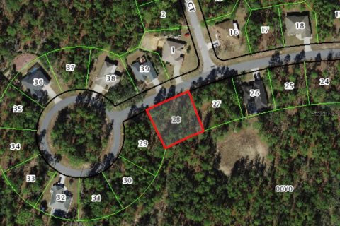Land in Homosassa, Florida № 2161507 - photo 2
