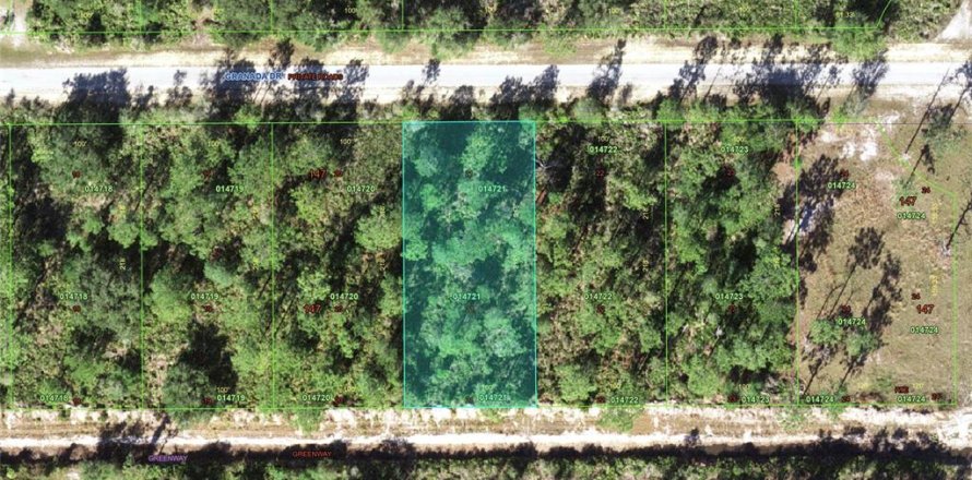 Terrain à Indian lake estates, Floride № 2159801