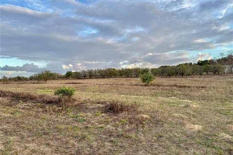 Land in Weirsdale, Florida № 1539778 - photo 1