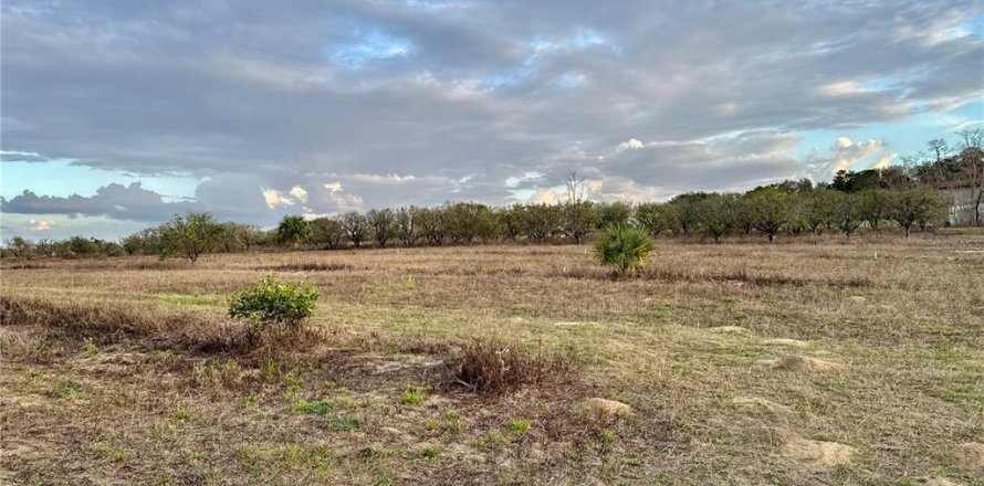 Land in Weirsdale, Florida № 1539778
