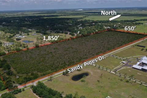 Land in Punta Gorda, Florida № 2148970 - photo 2
