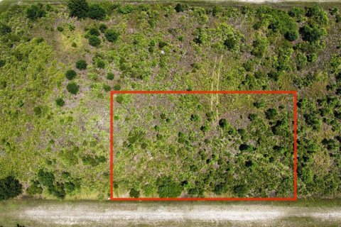 Terrain à Punta Gorda, Floride № 2159076
