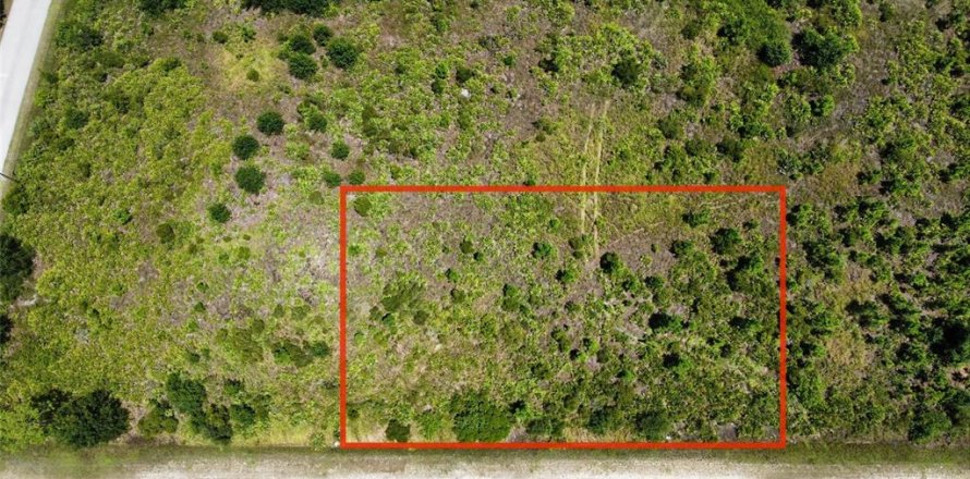 Terrain à Punta Gorda, Floride № 2159076