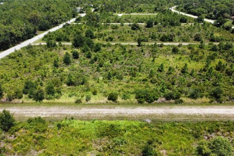 Terrain à vendre à Punta Gorda, Floride № 2159076 - photo 3
