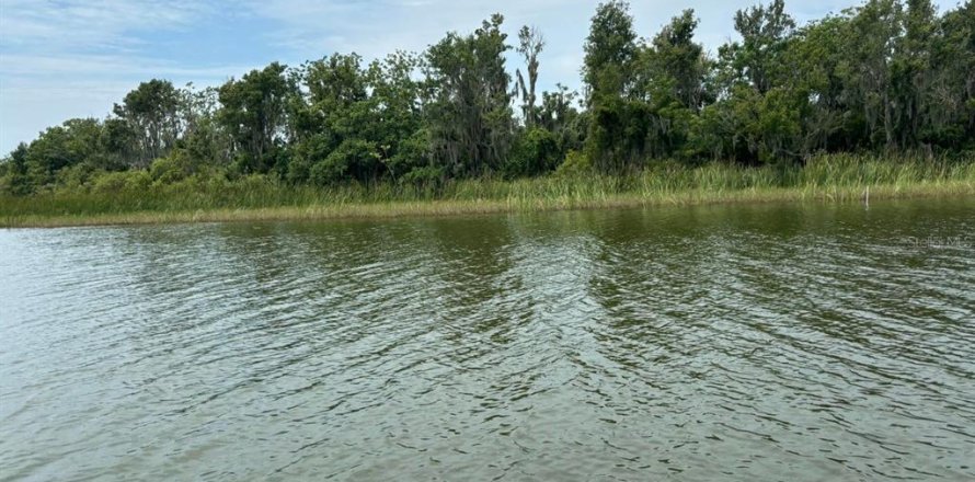 Casa en Lady Lake, Florida 2 dormitorios, 104.05 m2 № 1770943