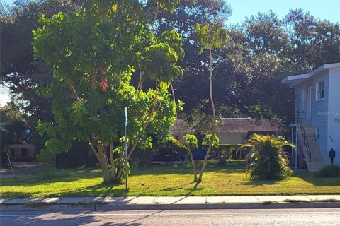 Land in Saint Petersburg, Florida № 722857 - photo 1