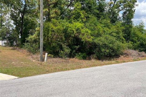Terreno en venta en Summerfield, Florida № 1678365 - foto 5