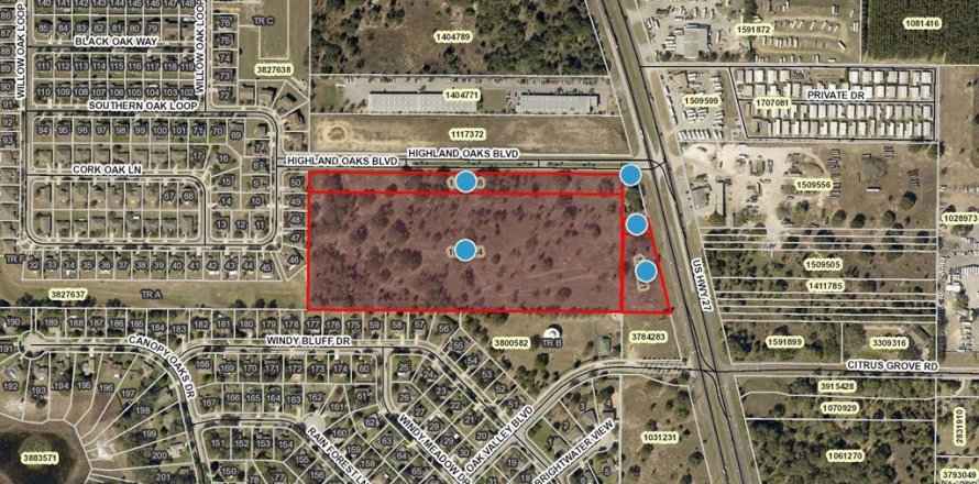 Terreno en Minneola, Florida № 2354962