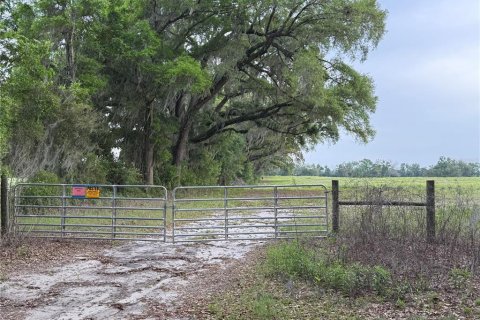 Terreno en venta en Newberry, Florida № 1609960 - foto 8