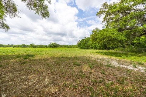 Terreno en venta en Newberry, Florida № 1609960 - foto 7