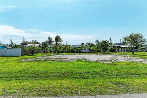 Land in Punta Gorda, Florida № 1681279 - photo 7