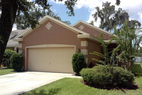 Villa ou maison à Fish Hawk, Floride 3 chambres, 136.57 m2 № 2415230