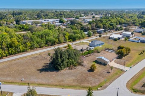 Land in Punta Gorda, Florida № 2158670 - photo 9
