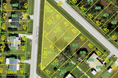 Land in Punta Gorda, Florida № 2158670 - photo 3