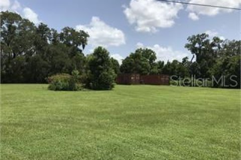 Land in Oxford, Florida № 1754718 - photo 2