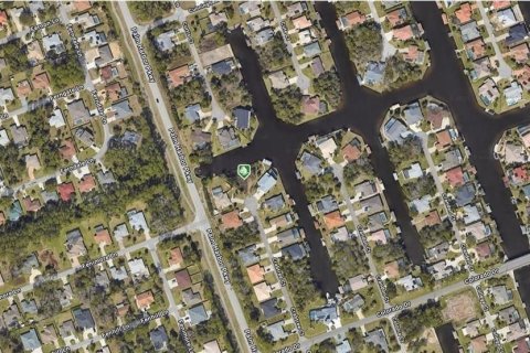 Land in Palm Coast, Florida № 1914044 - photo 2