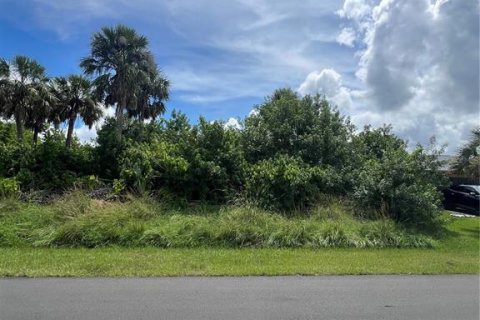 Land in Port Charlotte, Florida № 2161541 - photo 2