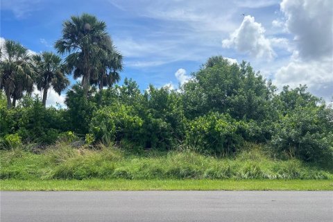 Land in Port Charlotte, Florida № 2161541