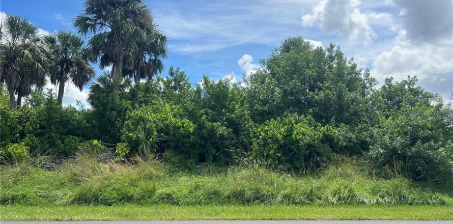 Land in Port Charlotte, Florida № 2161541