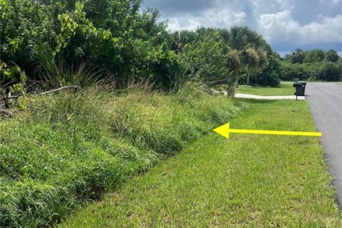 Land in Port Charlotte, Florida № 2161541 - photo 3