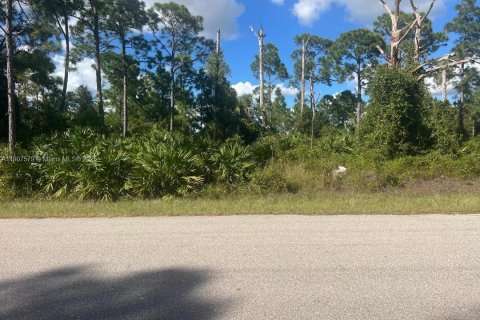 Land in Lehigh Acres, Florida № 2082069