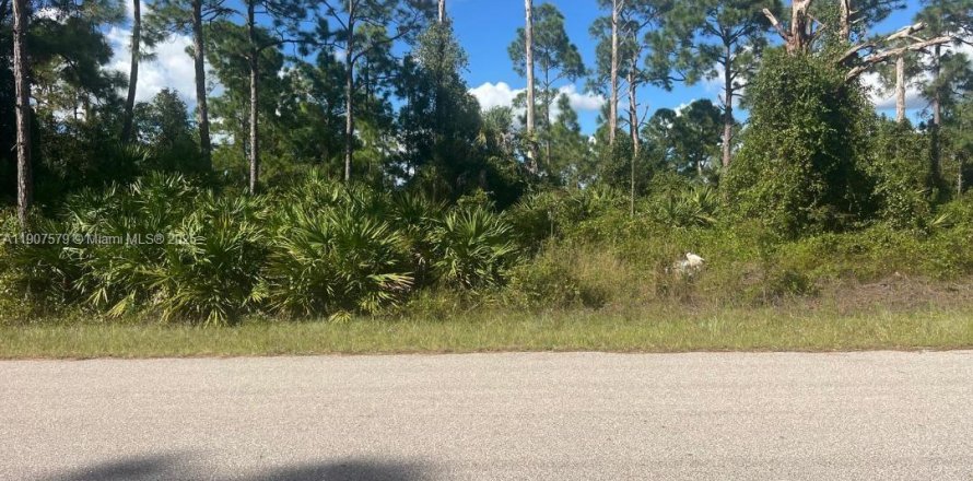 Land in Lehigh Acres, Florida № 2082069