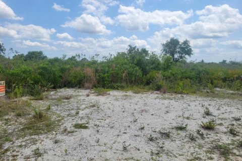 Terreno en venta en Okeechobee, Florida № 1215948 - foto 1