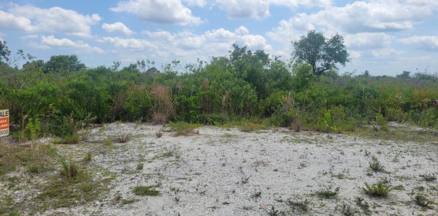 Terreno en Okeechobee, Florida № 1215948