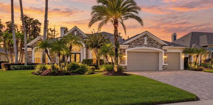 Villa ou maison à Land O' Lakes, Floride 5 chambres, 457.26 m2 № 2399435