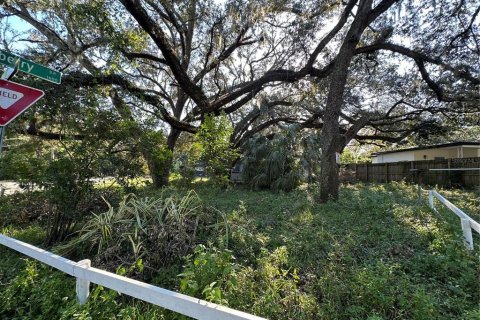 Terreno en venta en Tampa, Florida № 1531240 - foto 11