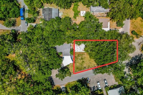 Terreno en venta en Tampa, Florida № 1531240 - foto 1