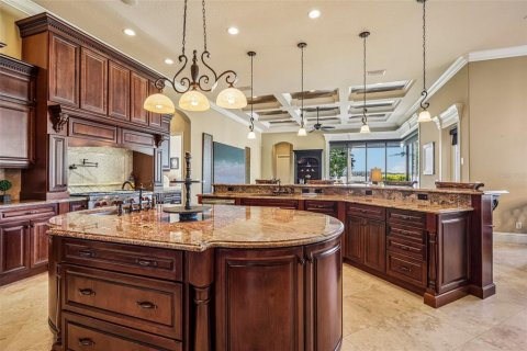 Villa ou maison à vendre à Thonotosassa, Floride: 5 chambres, 659.42 m2 № 2423926 - photo 13