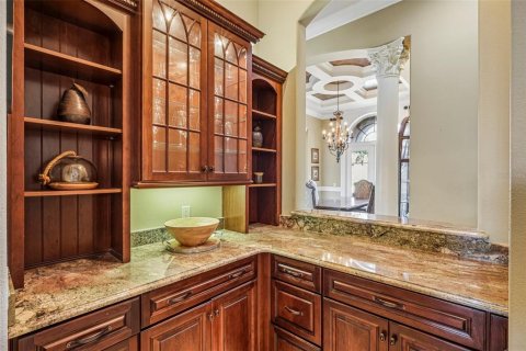 Villa ou maison à vendre à Thonotosassa, Floride: 5 chambres, 659.42 m2 № 2423926 - photo 15