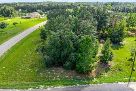 Terrain à vendre à Dunnellon, Floride № 2228917 - photo 4