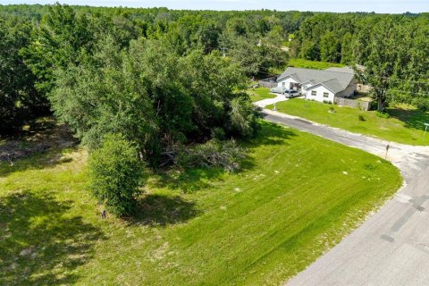 Terreno en Dunnellon, Florida № 2228917