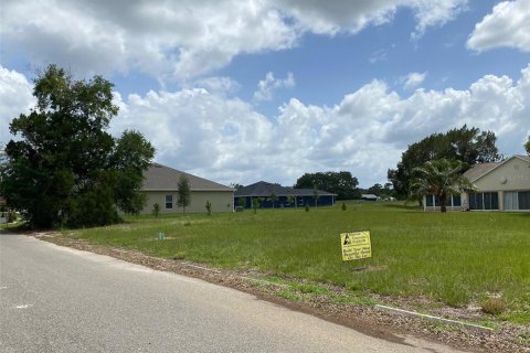 Land in Dade City, Florida № 1797170 - photo 4