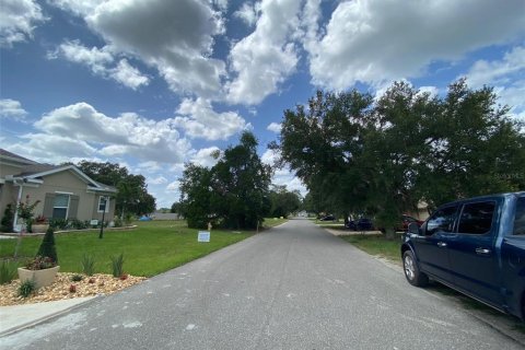 Land in Dade City, Florida № 1797170 - photo 7