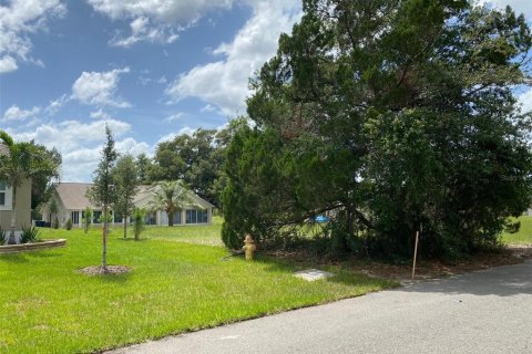 Land in Dade City, Florida № 1797170 - photo 2
