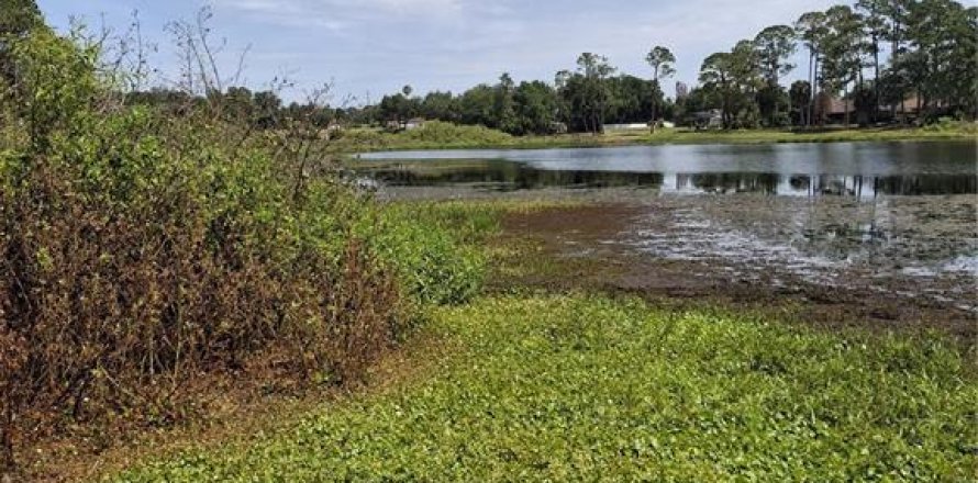 Terrain à Deltona, Floride № 2218573