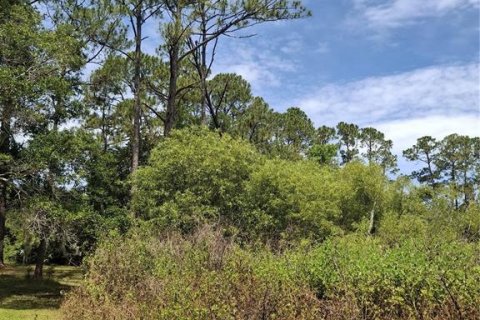 Terrain à vendre à Deltona, Floride № 2218573 - photo 3