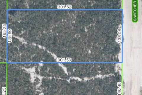 Land in Avon Park, Florida № 698391 - photo 1