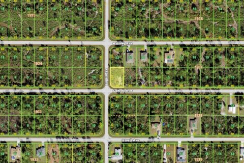 Land in Port Charlotte, Florida № 2380477 - photo 3
