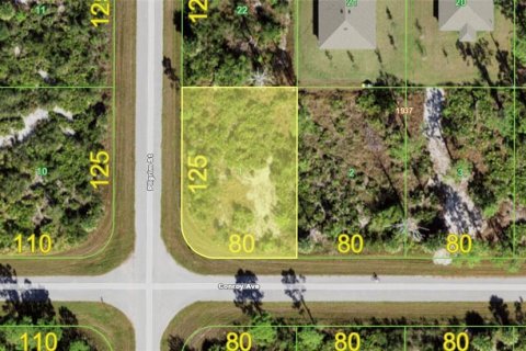 Land in Port Charlotte, Florida № 2380477
