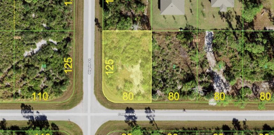 Land in Port Charlotte, Florida № 2380477