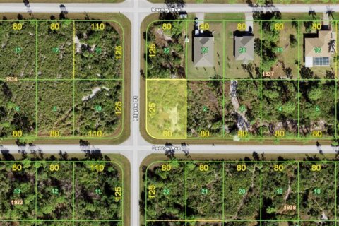 Land in Port Charlotte, Florida № 2380477 - photo 2